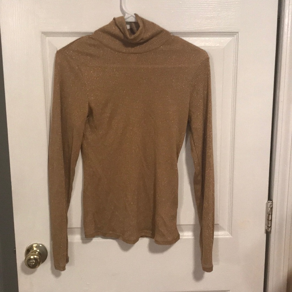 Sparkly turtleneck